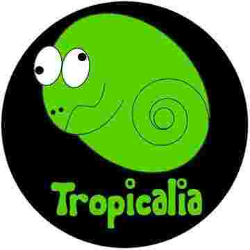 Image of Tropicalia service in Firenze, Firenze, Italy