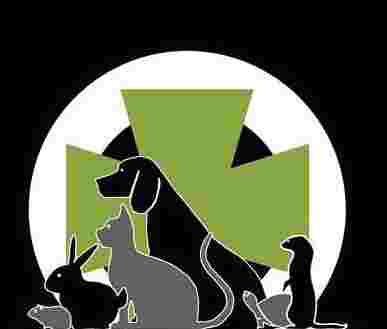 Image of Clínica Veterinaria Río Manzanares service in Mostoles, Madrid, Spain