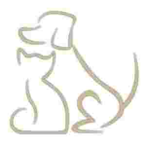 Image of Krakow pet shop Labrador service in Krakow, Malopolskie, Poland