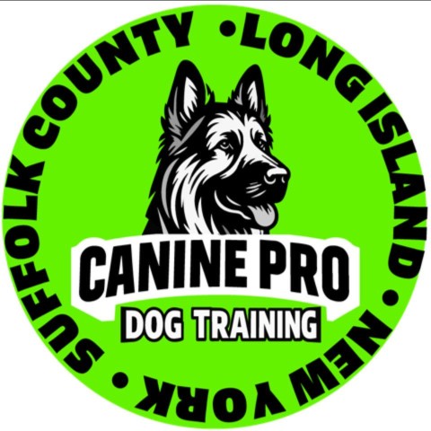 Image of Canine Pro service in Town of Brookhaven, New York, United States Image of Canine Pro service in Town of Brookhaven, New York, United States