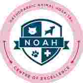 Image of Aceso Vet Clinic service in Belfast, Northern Ireland, United Kingdom