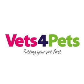 Image of Vets4Pets - Clevedon service in Clevedon, England, United Kingdom
