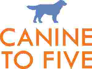 Image of Canine To Five - Commerce Township service in Walled Lake, Michigan, United States Image of Canine To Five - Commerce Township service in Walled Lake, Michigan, United States