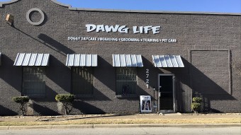 Image of Dawg Life Doggy Daycare & Boarding - Dallas service in Dallas, Georgia, United States Image of Dawg Life Doggy Daycare & Boarding - Dallas service in Dallas, Georgia, United States