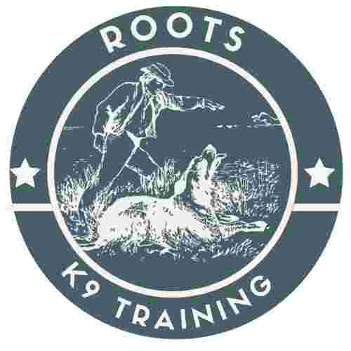 Image of Roots K9 Training service in Oklahoma City, Oklahoma, United States Image of Roots K9 Training service in Oklahoma City, Oklahoma, United States