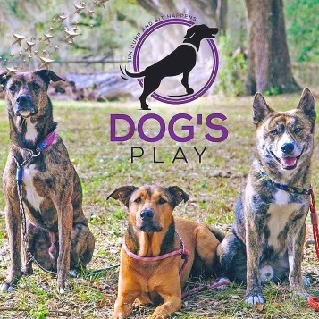 Image of Dog's Play service in Archer, Florida, United States Image of Dog's Play service in Archer, Florida, United States