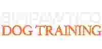 Image of Simpawtico Dog Training service in Big Flats, New York, United States Image of Simpawtico Dog Training service in Big Flats, New York, United States