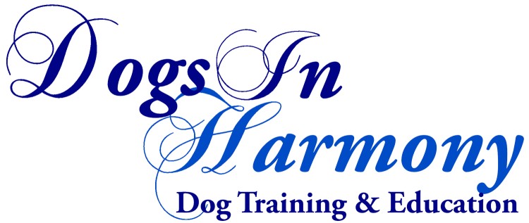 Image of Dogs in Harmony Training & Education service in Carleton Place, Ontario, Canada
