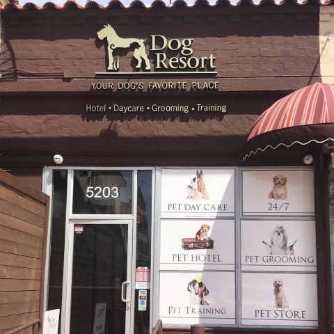 Image of Dog Resort service in Los Angeles, California, United States Image of Dog Resort service in Los Angeles, California, United States