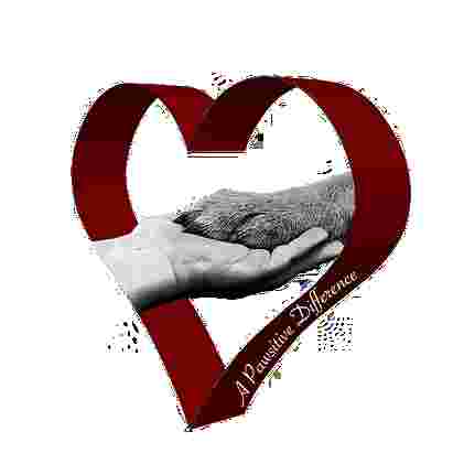 Image of A Pawsitive Difference - Orléans service in Ottawa, Ontario, Canada