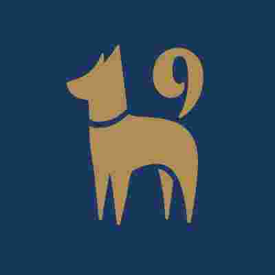 Image of K9 Resorts Luxury Pet Hotel - East Brunswick service in East Brunswick Township, New Jersey, United States