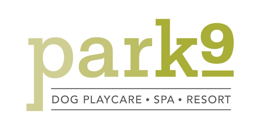 Image of Park9 Downtown- Dog Playcare. Spa. Resort service in Toronto, Ontario, Canada Image of Park9 Downtown- Dog Playcare. Spa. Resort service in Toronto, Ontario, Canada