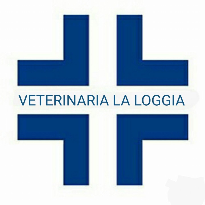 Image of Ambulatorio Veterinario La Loggia service in Roma, Lazio, Italy Image of Ambulatorio Veterinario La Loggia service in Roma, Lazio, Italy