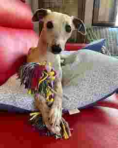 Image of La Casa di Ettore service in Agna, Veneto, Italy