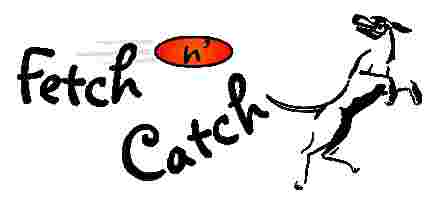 Image of Fetch n' Catch service in Town of Lancaster, New York, United States
