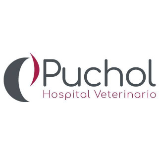 Image of Hospital Veterinario Puchol 🏥 Urgencias 24 horas service in Madrid, Madrid, Spain