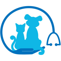 Image of Clínica Veterinaria Argos Burlada service in Burlada, Navarra, Spain