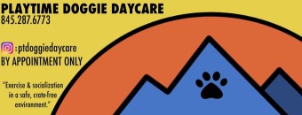 Image of Playtime Doggie Daycare service in Town of New Windsor, New York, United States