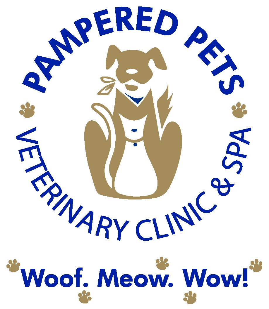 Image of Pampered Pets Veterinary Clinic & Spa service in Edmond, Oklahoma, United States Image of Pampered Pets Veterinary Clinic & Spa service in Edmond, Oklahoma, United States