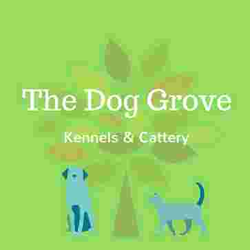Image of The Dog Grove service in Oliva, Valencia, Spain