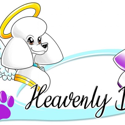 Image of Heavenly Dog Inc. service in Denver, Colorado, United States Image of Heavenly Dog Inc. service in Denver, Colorado, United States