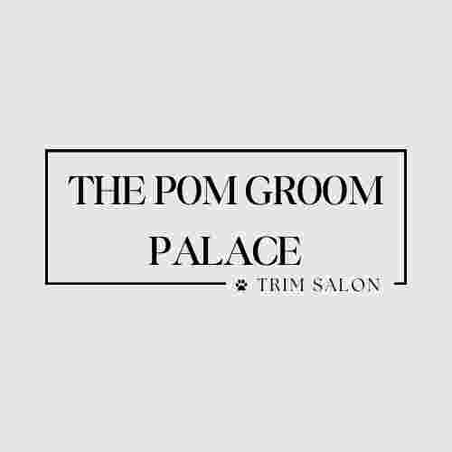 Image of The Pom Groom Palace service in Amsterdam, North Holland, Netherlands Image of The Pom Groom Palace service in Amsterdam, North Holland, Netherlands