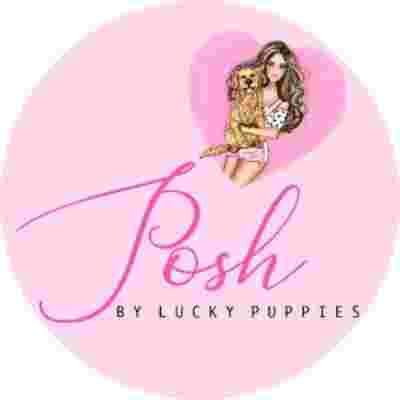 Image of Posh by the Lucky Puppies service in Clearwater, Florida, United States Image of Posh by the Lucky Puppies service in Clearwater, Florida, United States