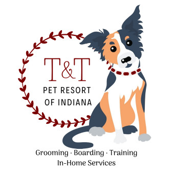 Image of T&T Pet Resort service in Greenwood, Indiana, United States