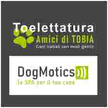 Image of Amici di TOBIA - Sardegna 35 service in Milano, Lombardia, Italy Image of Amici di TOBIA - Sardegna 35 service in Milano, Lombardia, Italy