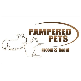 Image of Pampered Pets of Donelson service in Nashville, Indiana, United States