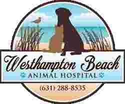 Image of Westhampton Beach Animal Hospital service in Westhampton Beach, New York, United States