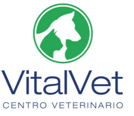 Image of VitalVet service in Cordoba, Cordoba, Spain
