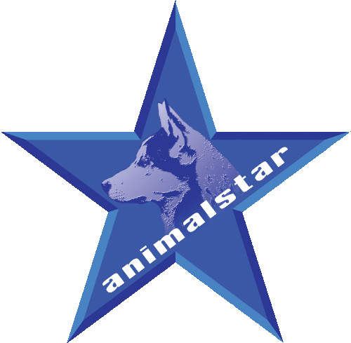 Image of Filmtierschule und Filmtiertrainer ANIMALSTAR Düsseldorf service in Dusseldorf, Nordrhein-Westfalen, Germany