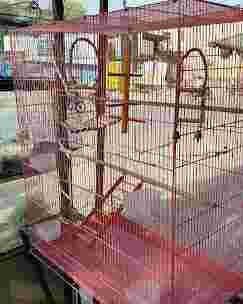 Image of Pari Pets & Aquarium - Pet Shop in Sector 9, Gurgaon service in Gurugram, Haryana, India