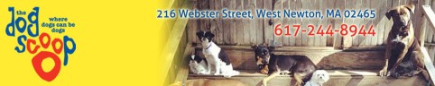 Image of The Dog Scoop service in Middlesex County, Massachusetts, United States
