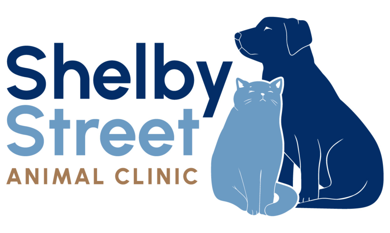 Image of Shelby Street Animal Clinic service in Indianapolis, Indiana, United States