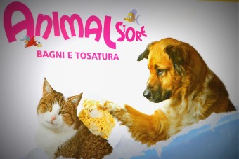 Image of Animal store di Ippolito A. service in Marano di Napoli, Campania, Italy