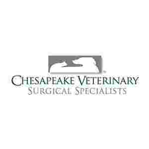 Image of Chesapeake Veterinary Surgical Specialists service in Cockeysville, Maryland, United States