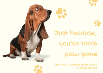 Image of The Paw's Grooming Room service in Failsworth, England, United Kingdom