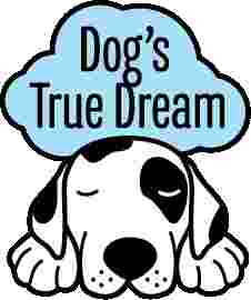 Image of Dogs True Dream service in Alameda, California, United States
