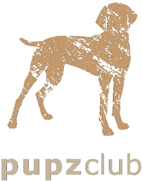 Image of Pupz Club service in Rahway, New Jersey, United States Image of Pupz Club service in Rahway, New Jersey, United States