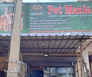 Image of Madonnas Pet Mania service in Gurugram, Haryana, India