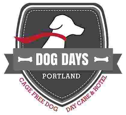 Image of Dog Days - Portland service in Portland, Connecticut, United States Image of Dog Days - Portland service in Portland, Connecticut, United States
