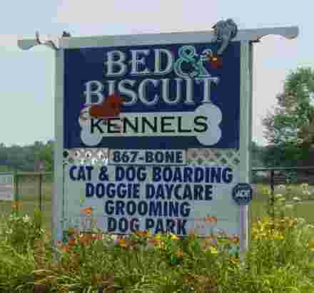 Image of Bed & Biscuit Kennels Inc service in Westfield, Massachusetts, United States Image of Bed & Biscuit Kennels Inc service in Westfield, Massachusetts, United States