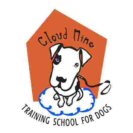 Image of Cloud Nine Training School for Dogs service in Hennepin County, Minnesota, United States