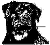 Image of Denk wie ein Hund! - HuTa Fischeln & Training service in Krefeld, Nordrhein-Westfalen, Germany