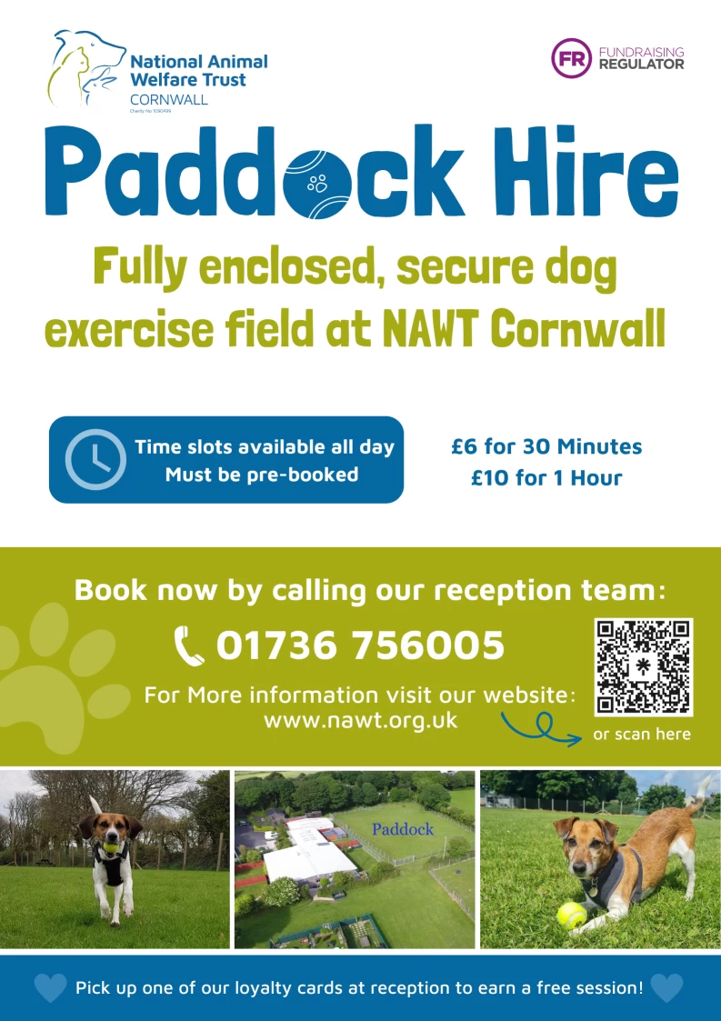 Image of National Animal Welfare Trust, Cornwall service in Hayle, Cornwall, United Kingdom Image of National Animal Welfare Trust, Cornwall service in Hayle, Cornwall, United Kingdom