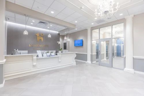 Image of K9 Resorts - Cherry Hill service in Cherry Hill, New Jersey, United States Image of K9 Resorts - Cherry Hill service in Cherry Hill, New Jersey, United States