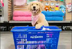 Image of PetSmart service in Idaho Falls, Idaho, United States