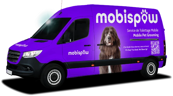 Image of Mobispaw service in Montreal, Quebec, Canada Image of Mobispaw service in Montreal, Quebec, Canada